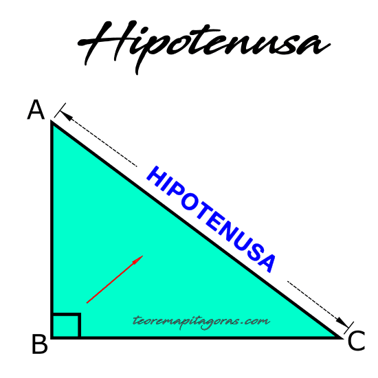 Hipotenusa del triángulo rectángulo